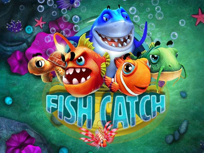 fish catch