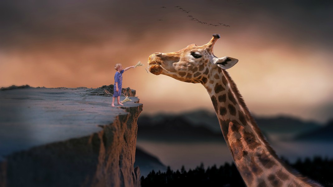 Luxury, Vacation and Wild Animals