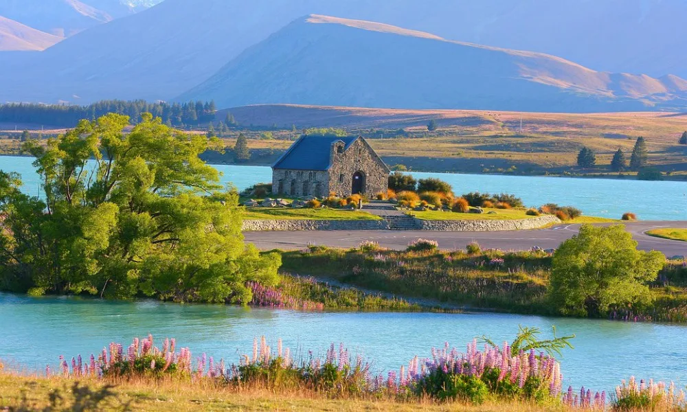new zealand nature