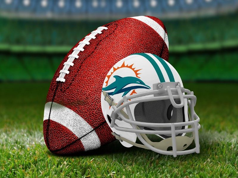 Miami Dolphins will feature Litecoin