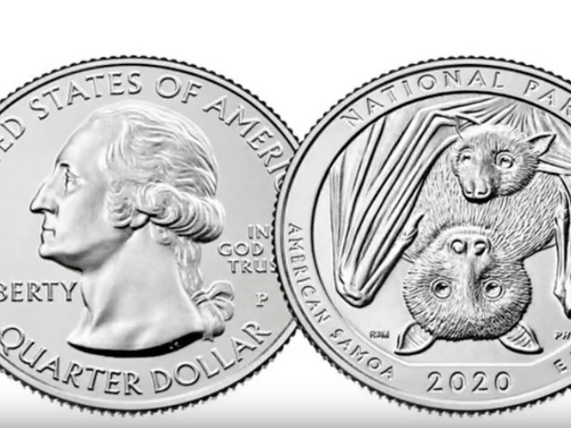 bat quarter