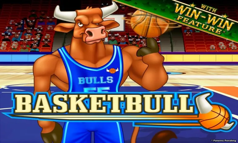 The Bulls Play Basketball