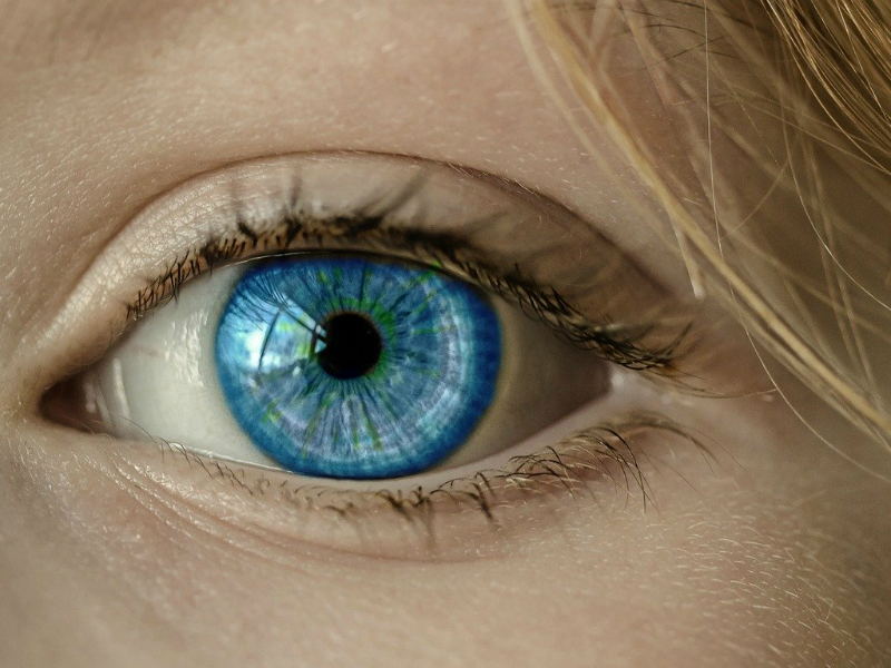 Visualization