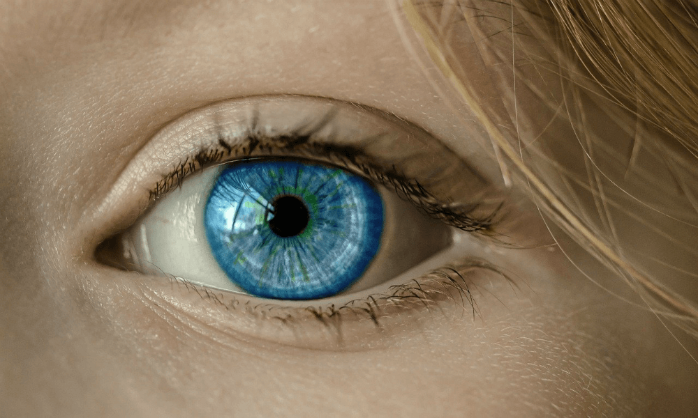 Visualization and Imagining the World for Yourself