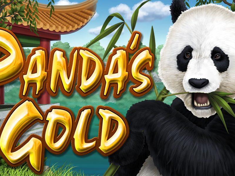 Panda's Gold spins