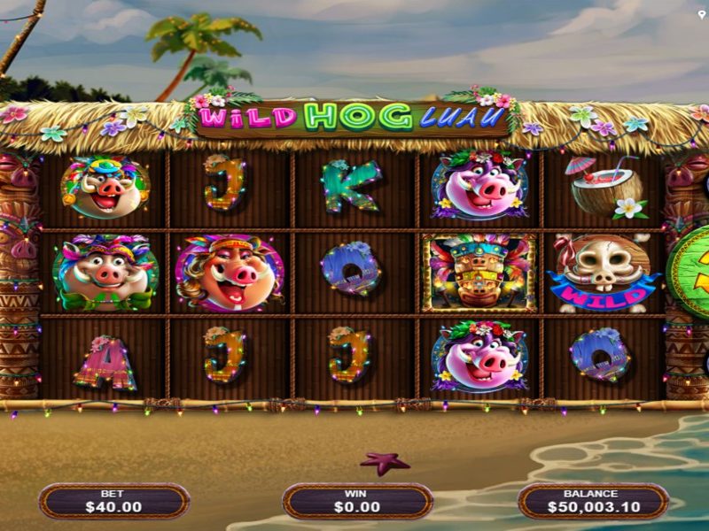 wild hog luau slot