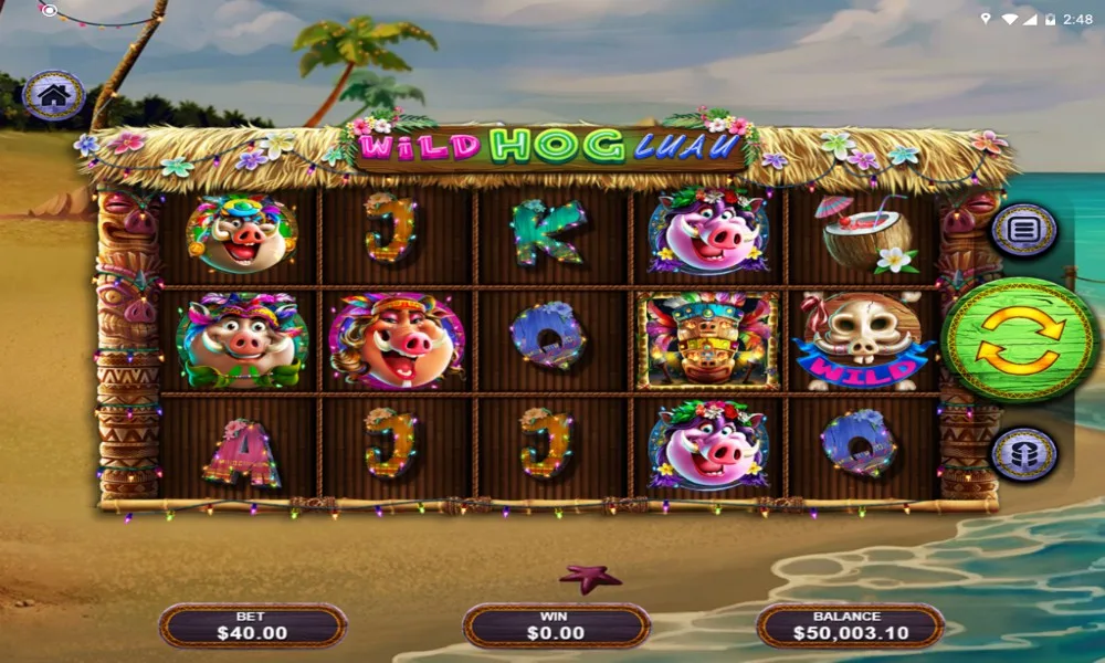 wild hog luau slot