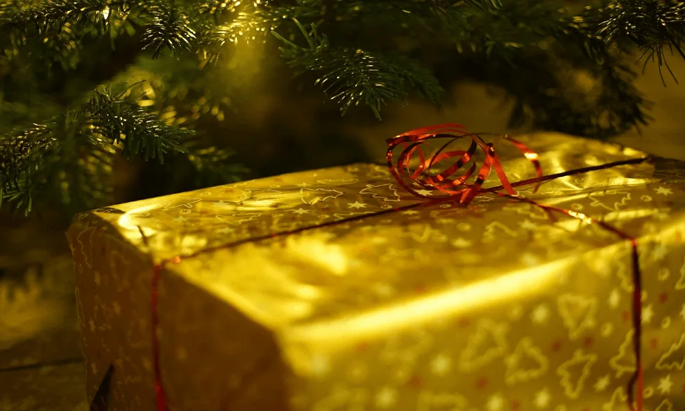 Christmas Gift Ideas