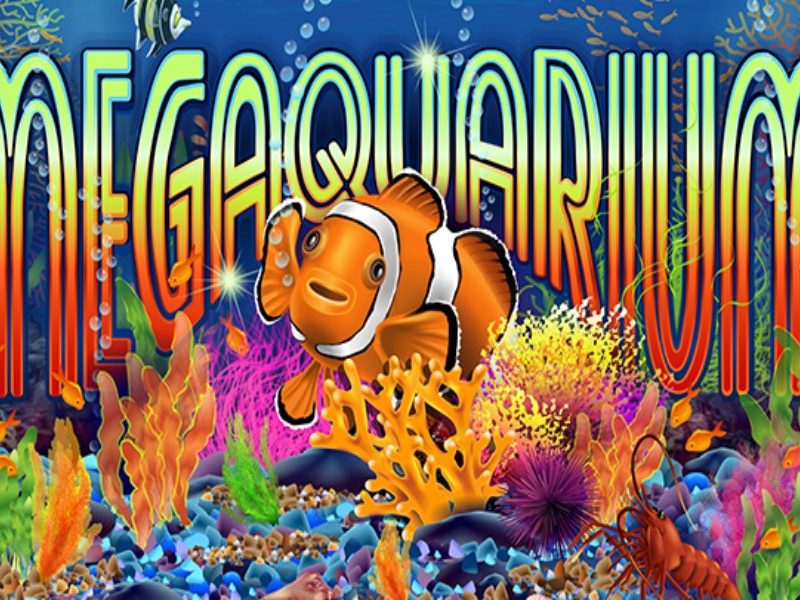 Megaquarium slot
