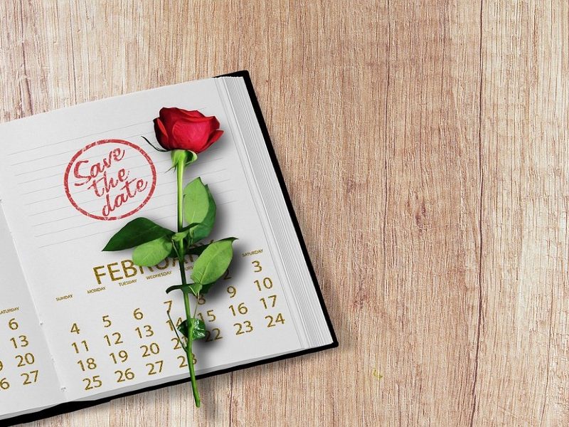 monthly review