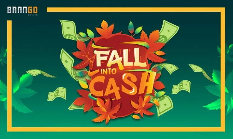Fall into cash