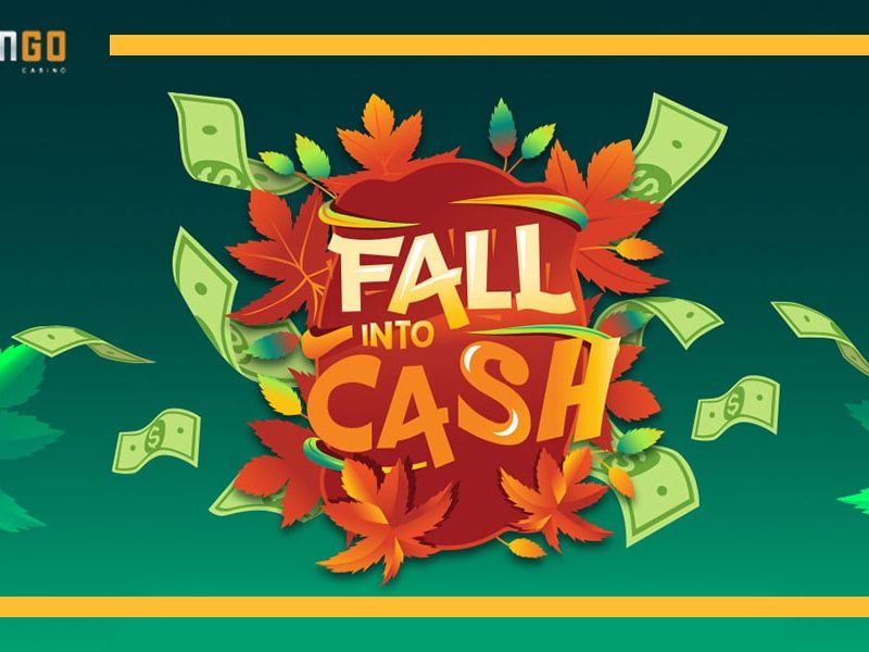 Fall into cash