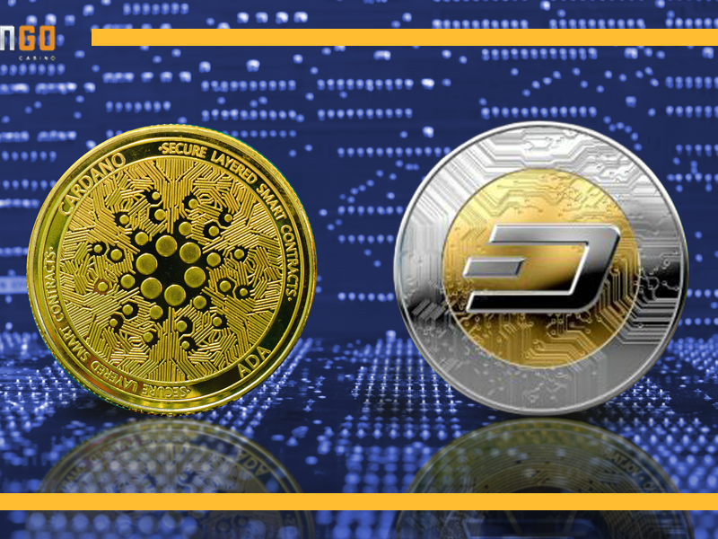 big crypto bonuses