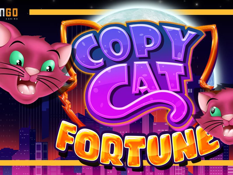 Copy Cat Fortune