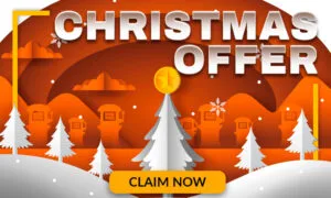 Xmas promotion CTA