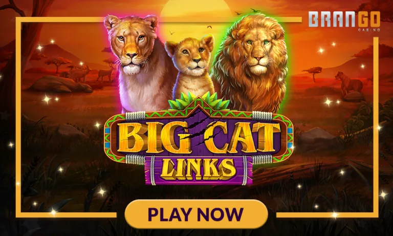 Big Cat Links