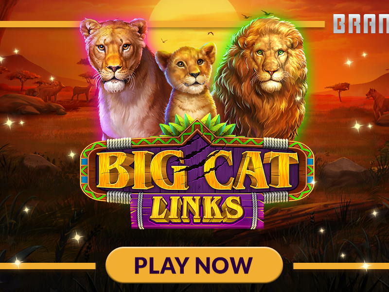 Big Cat Links