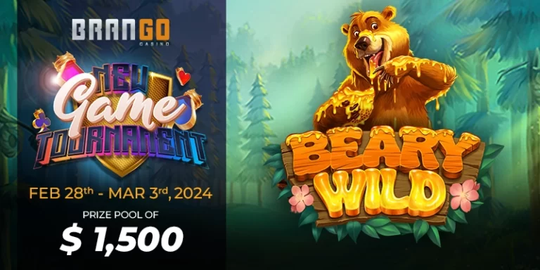 Beary Wild