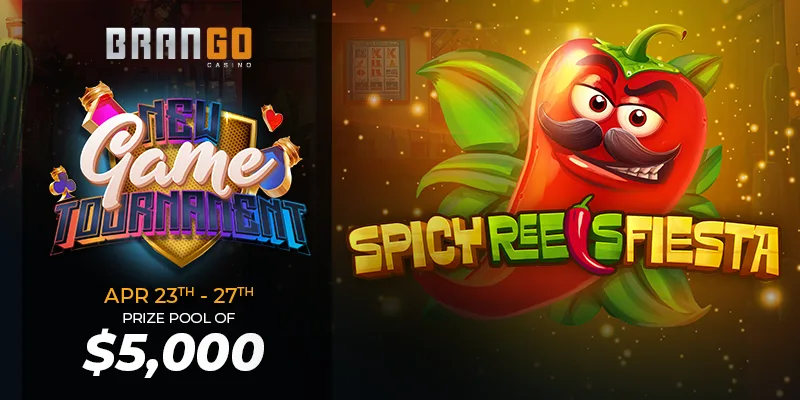 Spicy Reels Fiesta