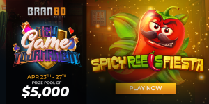 Spicy Reels Fiesta