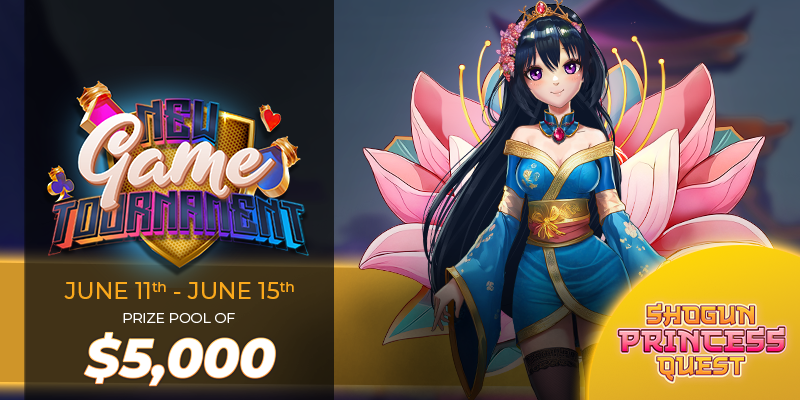Shogun Princess Quest