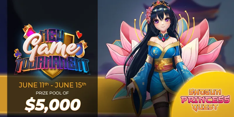 Shogun Princess Quest